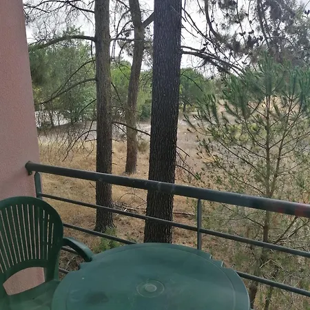 Appartement Nature House